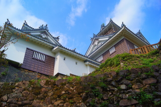 越前大野城