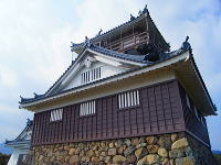 越前大野城