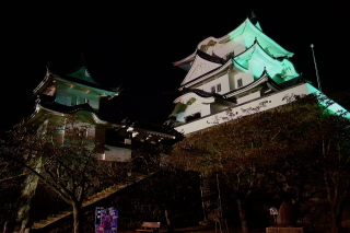 伊賀上野城