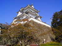 伊賀上野城