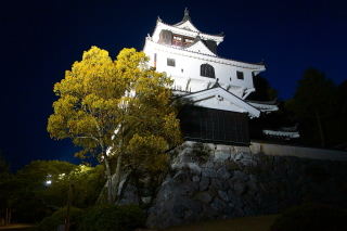 岩国城