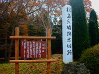 伊那松島城