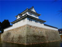 水口城