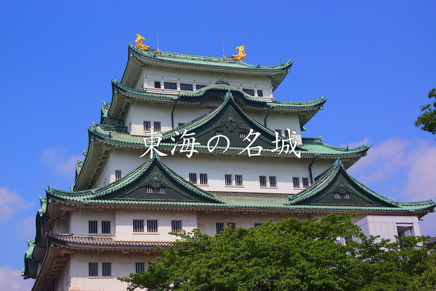 日本歴史紀行会＃日本の城と城下町＃日本名城紀行＃日本名城事典＃日本の城下町と＃小京都紀行＃東北の名城＃関東の名城＃信越の名城＃東海の名城＃北陸の名城＃近畿名城＃中国の名城＃四国の名城＃九州の名城＃日本名城百選＃現存天守＃国宝天守＃現存城門＃天守代用櫓＃現存三重櫓＃現存二重櫓＃現存多門櫓＃日本名城続百選＃現存平櫓＃登り石垣＃重箱櫓＃甲州流軍学＃三大山城＃五大山岳城　
